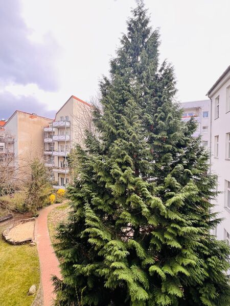 Ausblick Hof