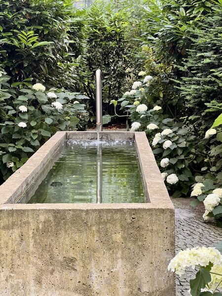 Brunnen